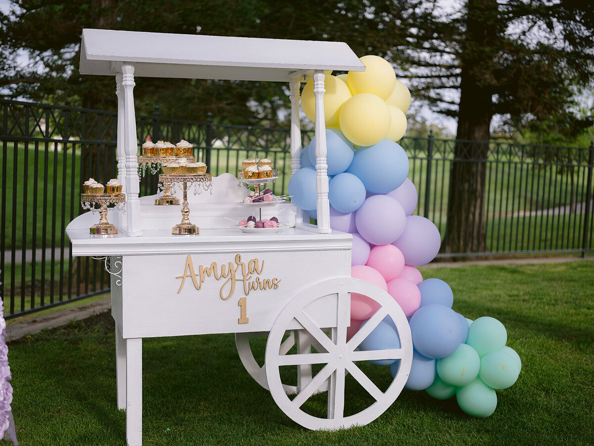 san-francisco-first-birthday-party-photographer-dessert-cart