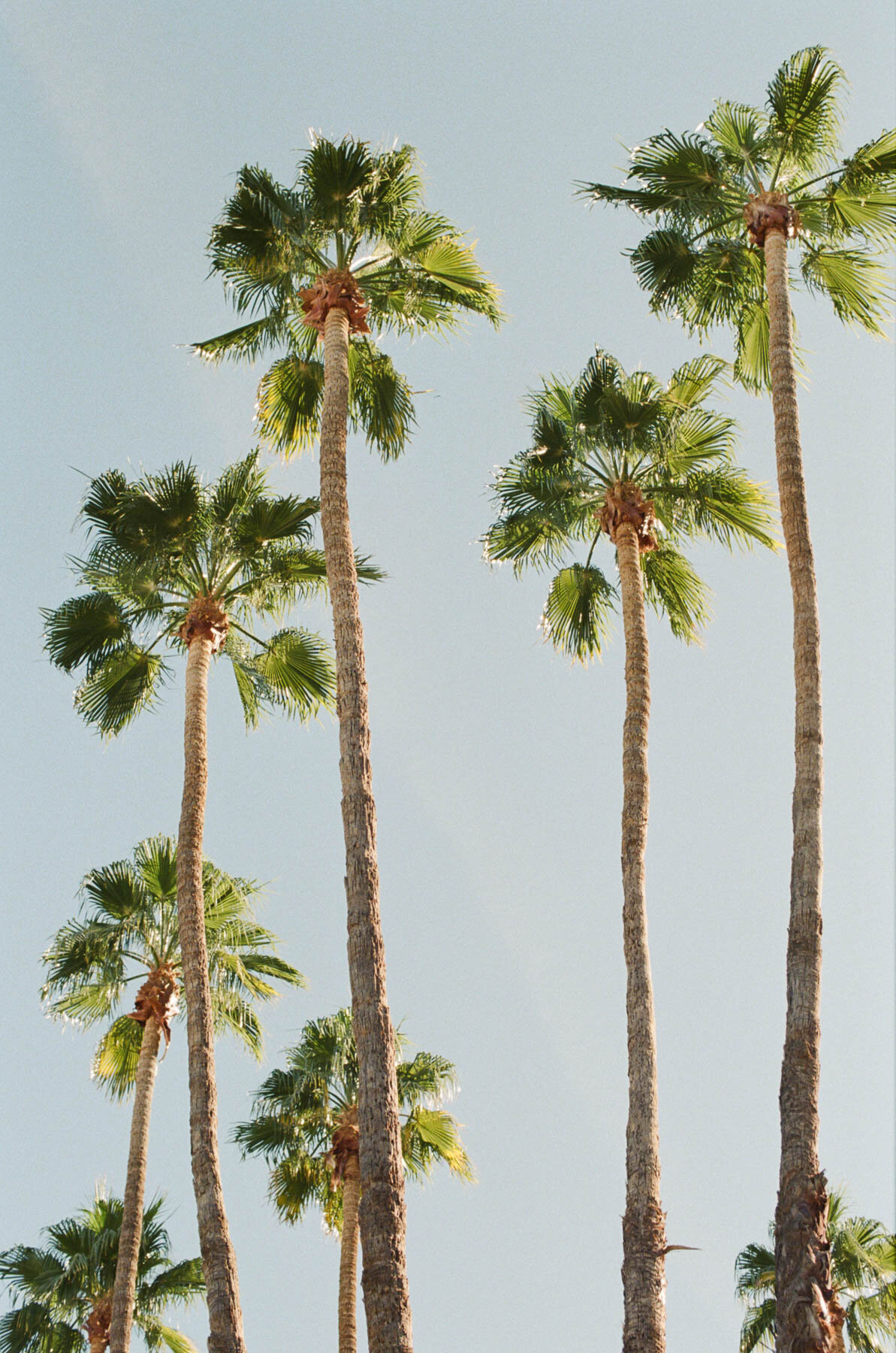 Parker Palm Springs wedding red-7