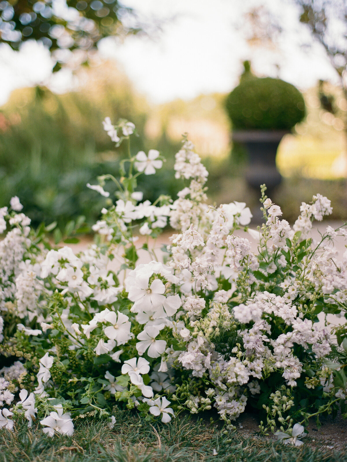 Bethany+KevinCaliforniaParkWintersWeddingCassieValentePhotography0239