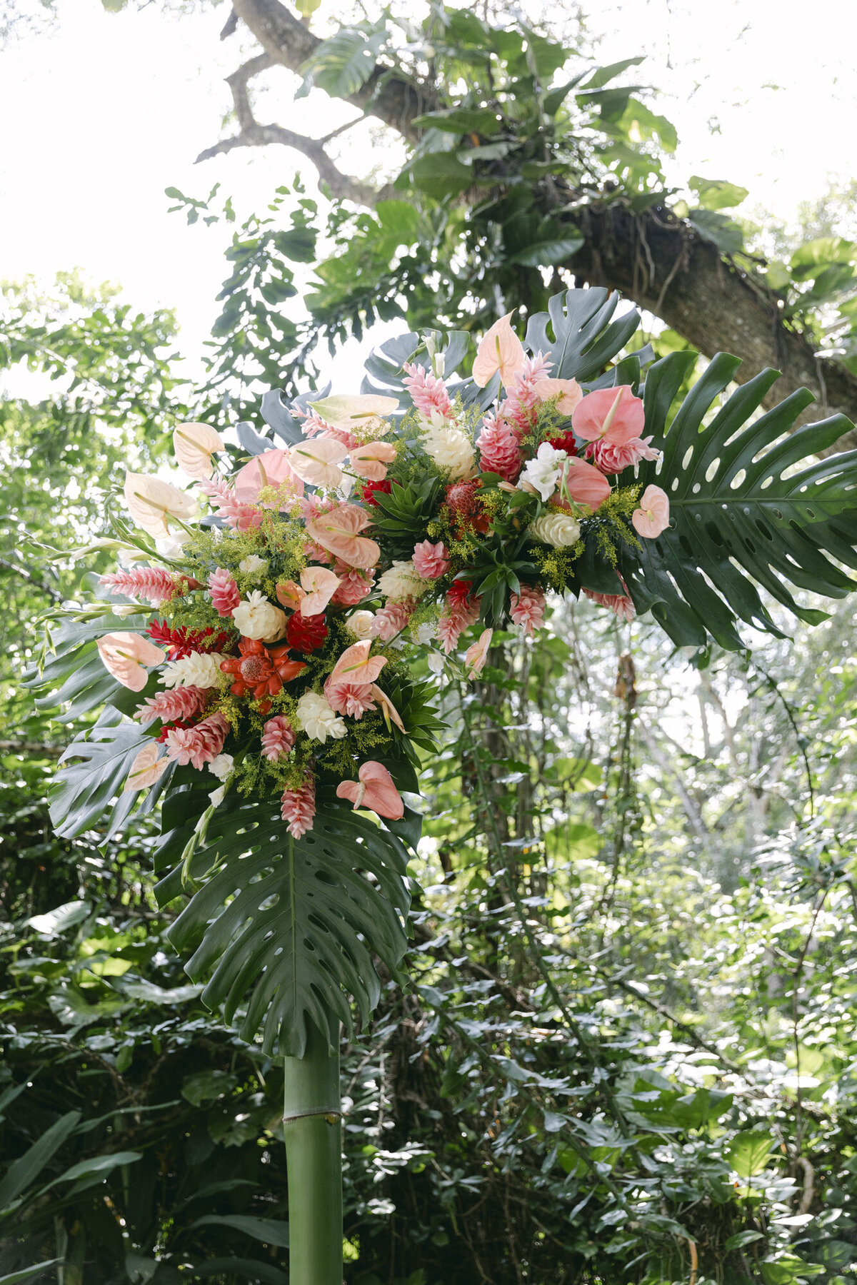 PERRUCCIPHOTO_BELIZE_DESTINATION_WEDDING_63