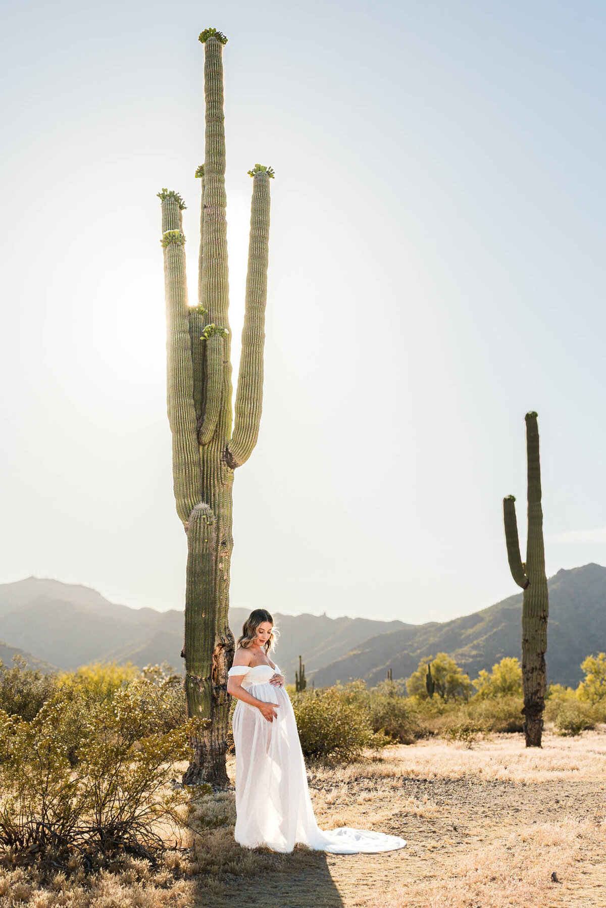 Arizona-Maternity-Photographer-67