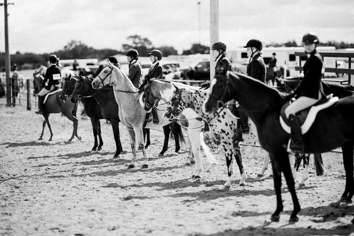 Equestrian Photography574