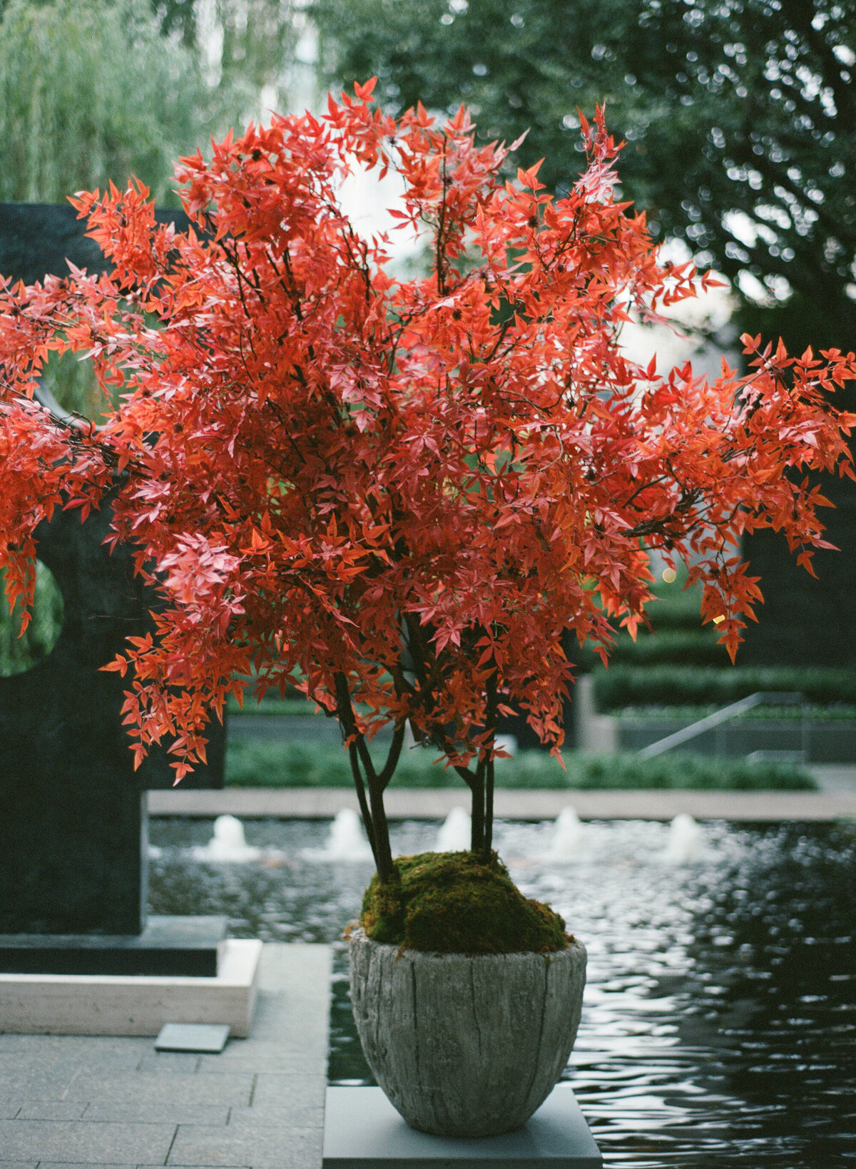 Nasher_Art_Museum_Wedding-13