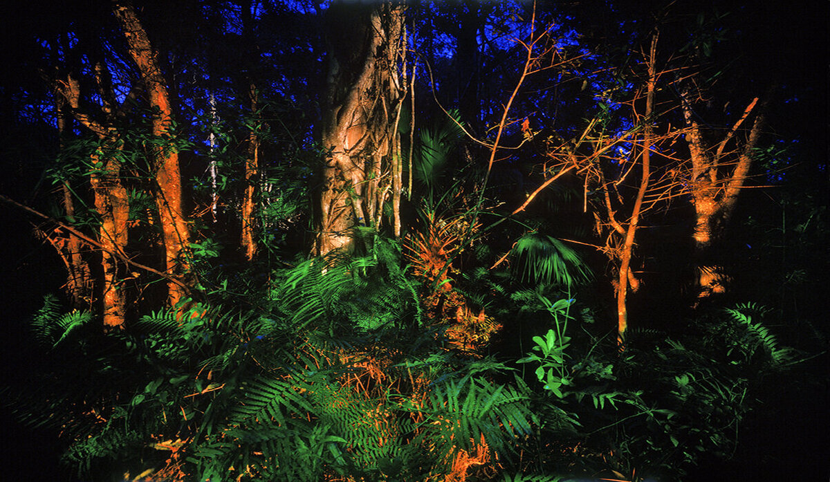 Big Cypress_Fakahatchee Strand