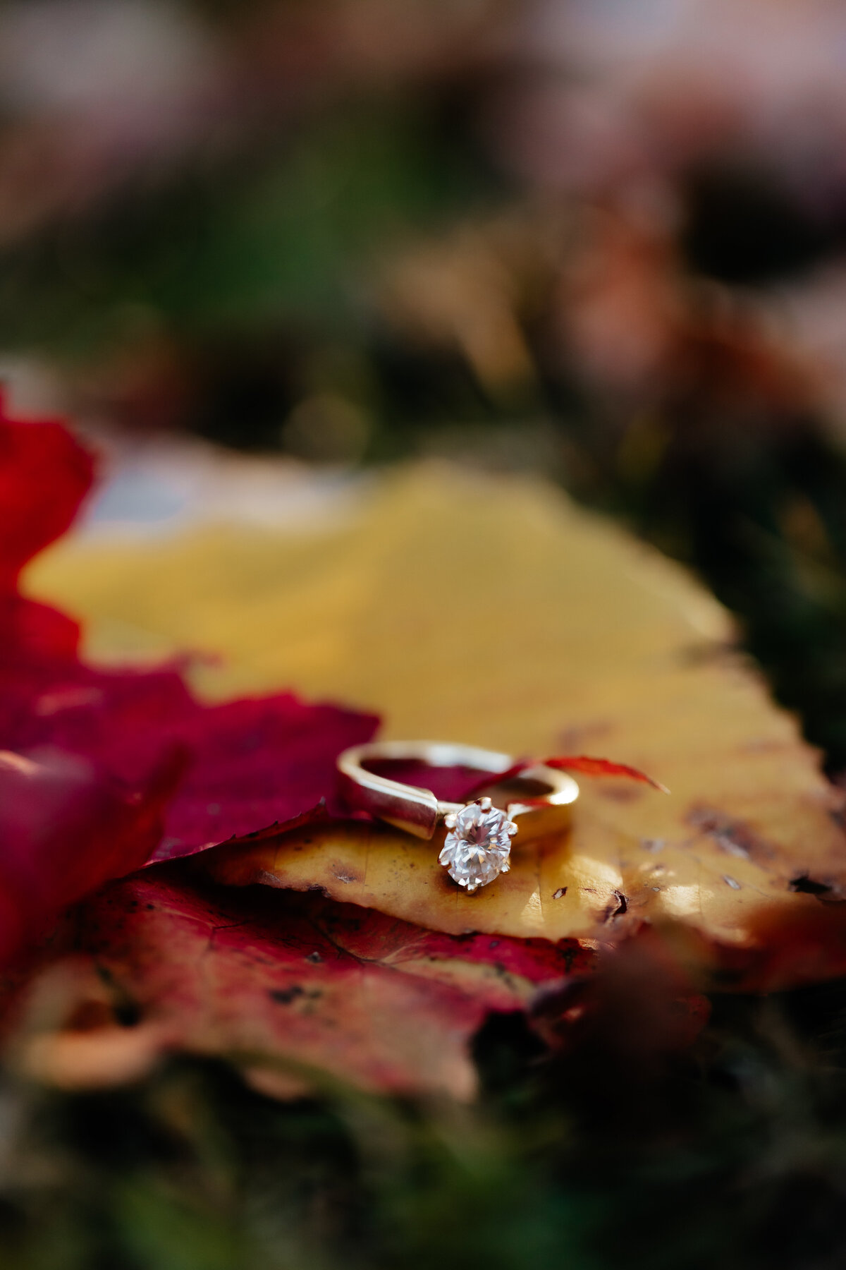 kat+evan_highlights-7