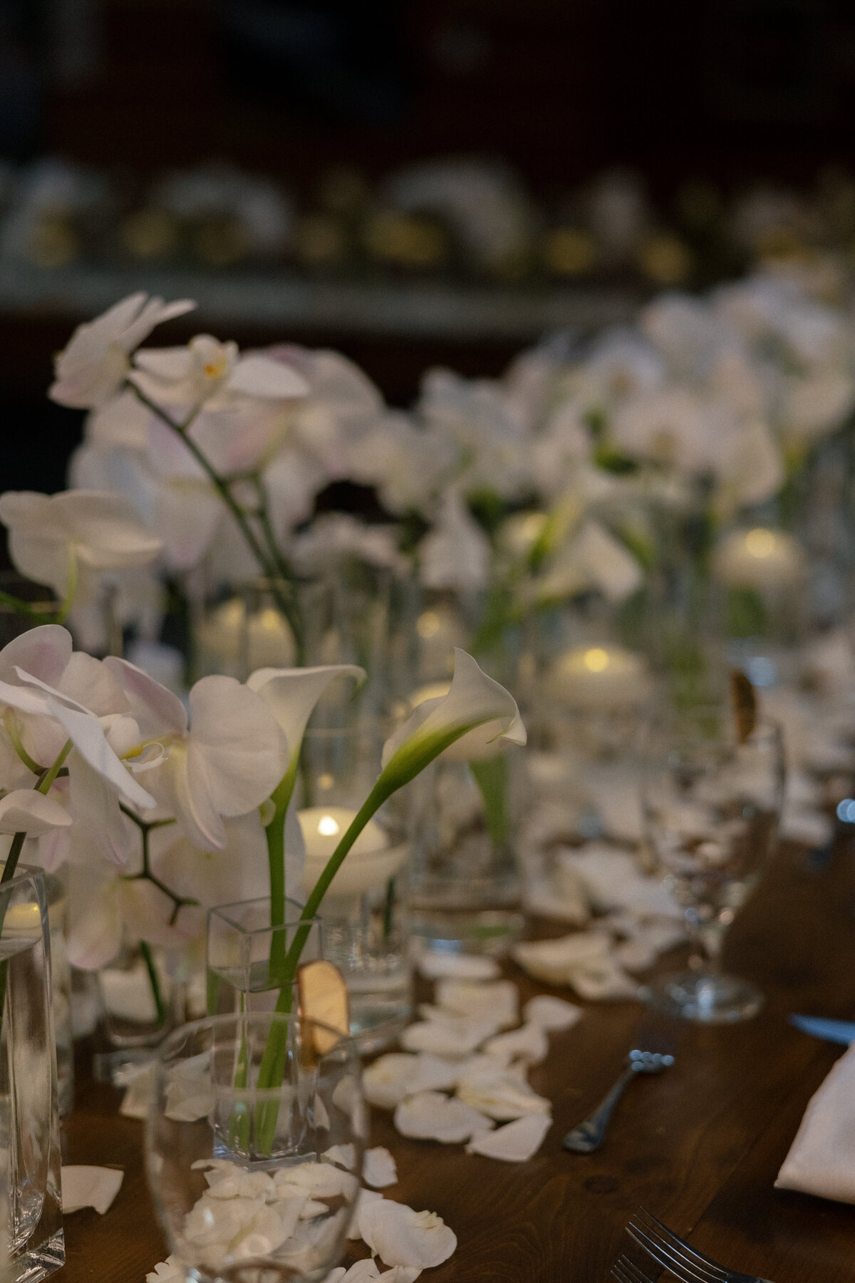 Maddie Briggs Photography-174