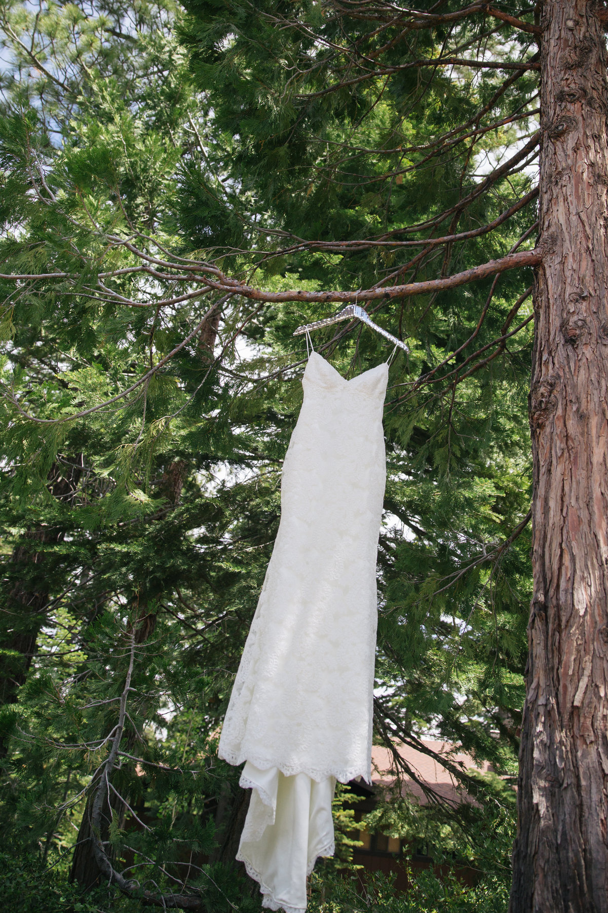 Wedding dress Lake Tahoe, Ca