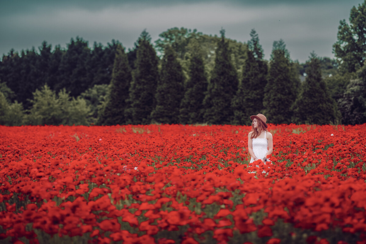 raleigh-wildflower-photographer-2893