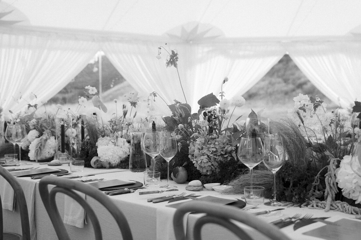 Kate Roberge Photography â Sara & Jon Previews-83_websize