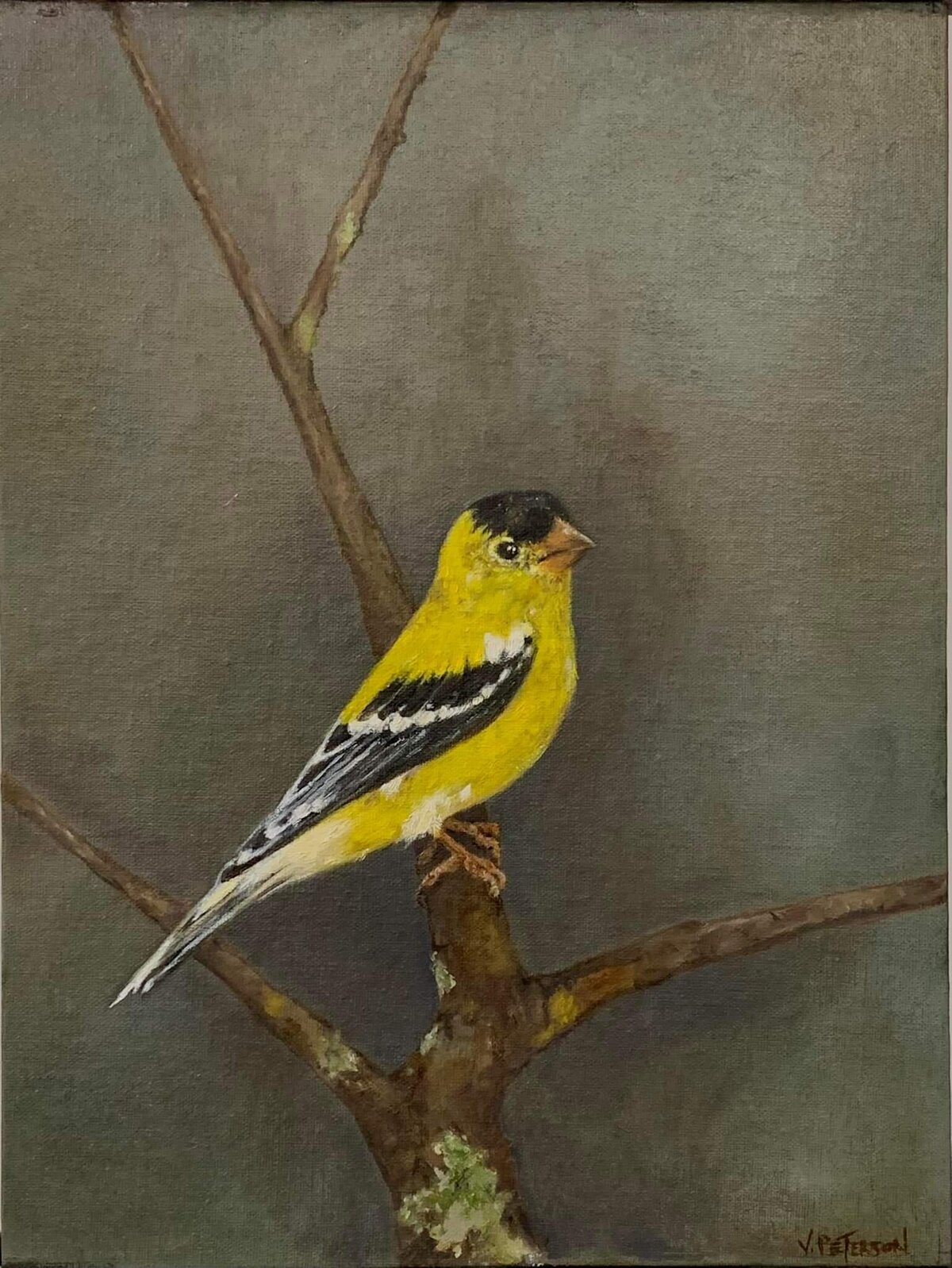 goldfinch