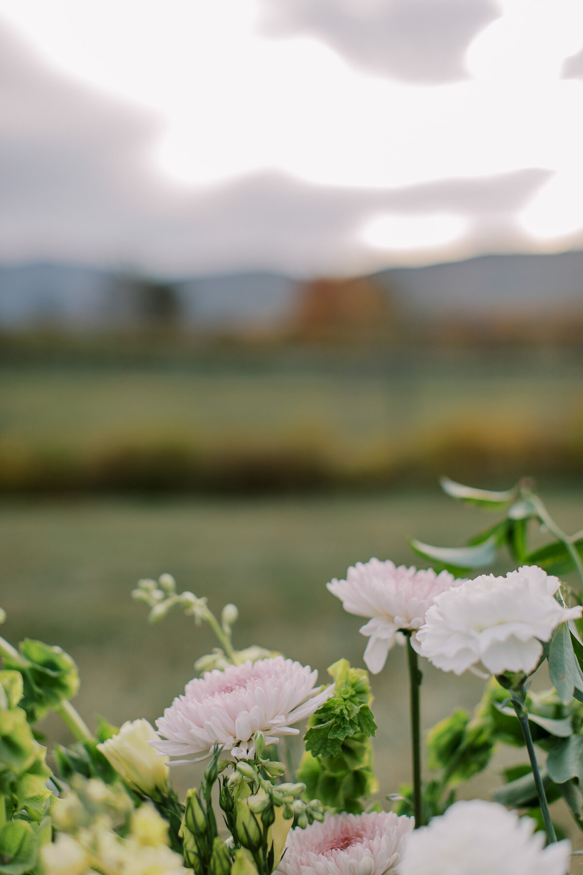 Anna-Wright-Photography-Veritas-17