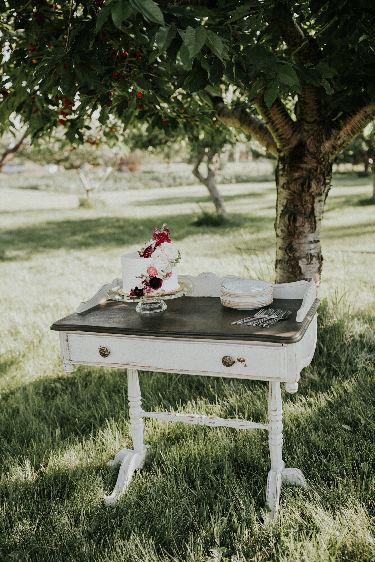 chery-orchard-wedding-montana-1