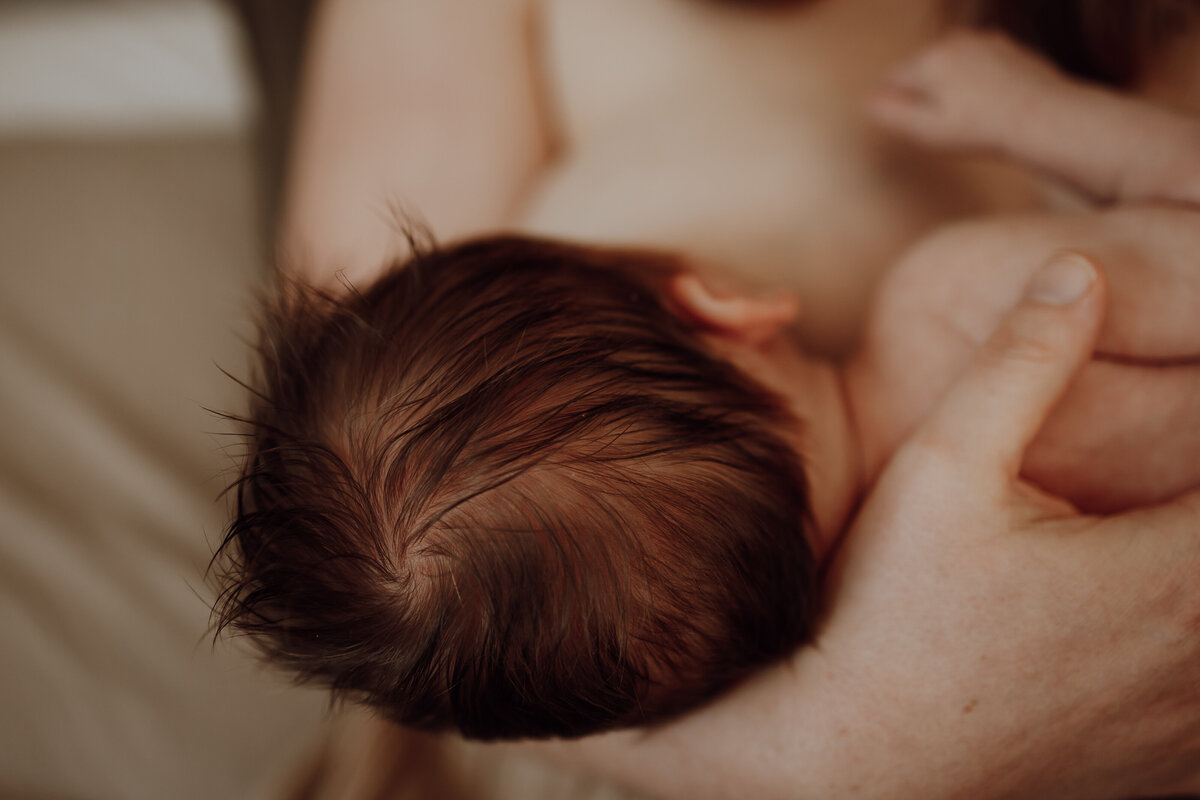 NewbornshootTeun (1 van 29)