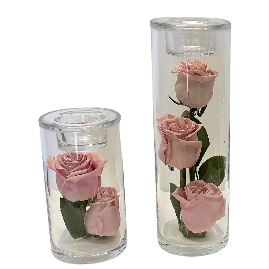 Preserved roses from wedding