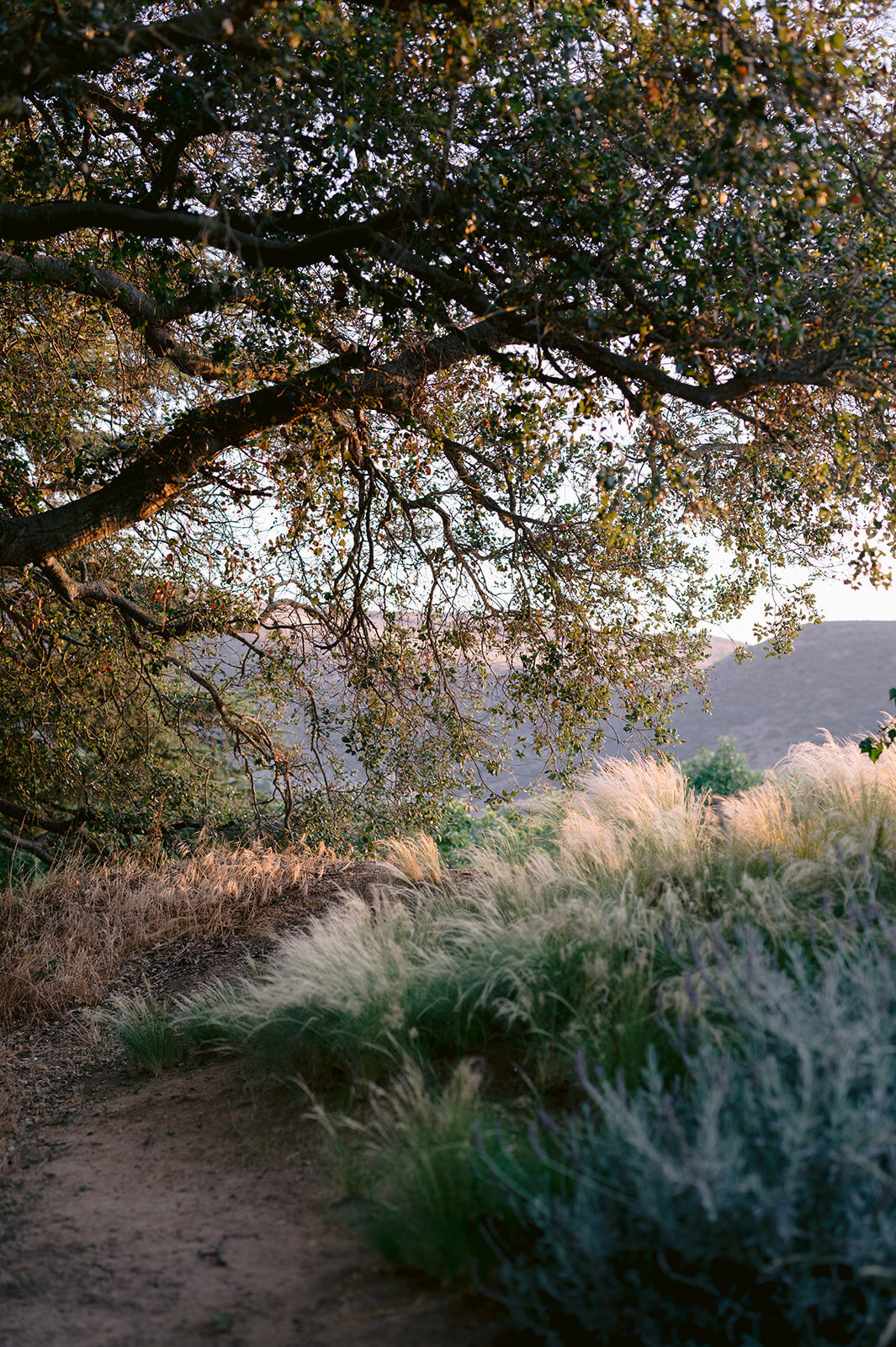 06.28.25_jacqueline and alex_erica streelman photo-468