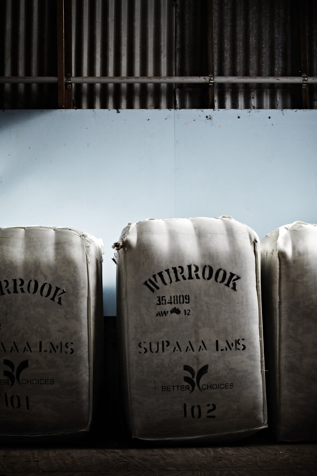 Wurrook Merino-06