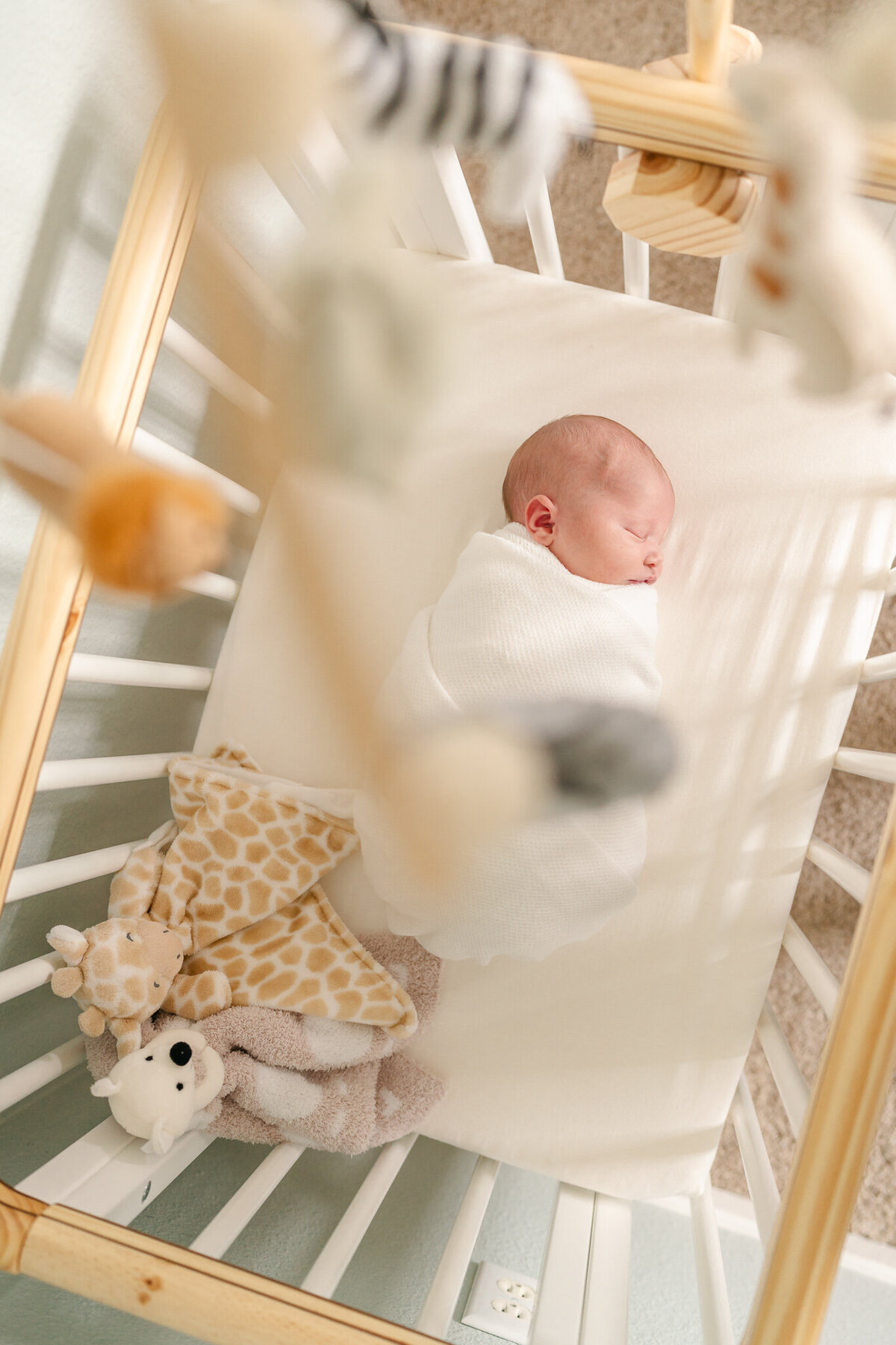 san-francisco-bay-area-newborn-photographer-10