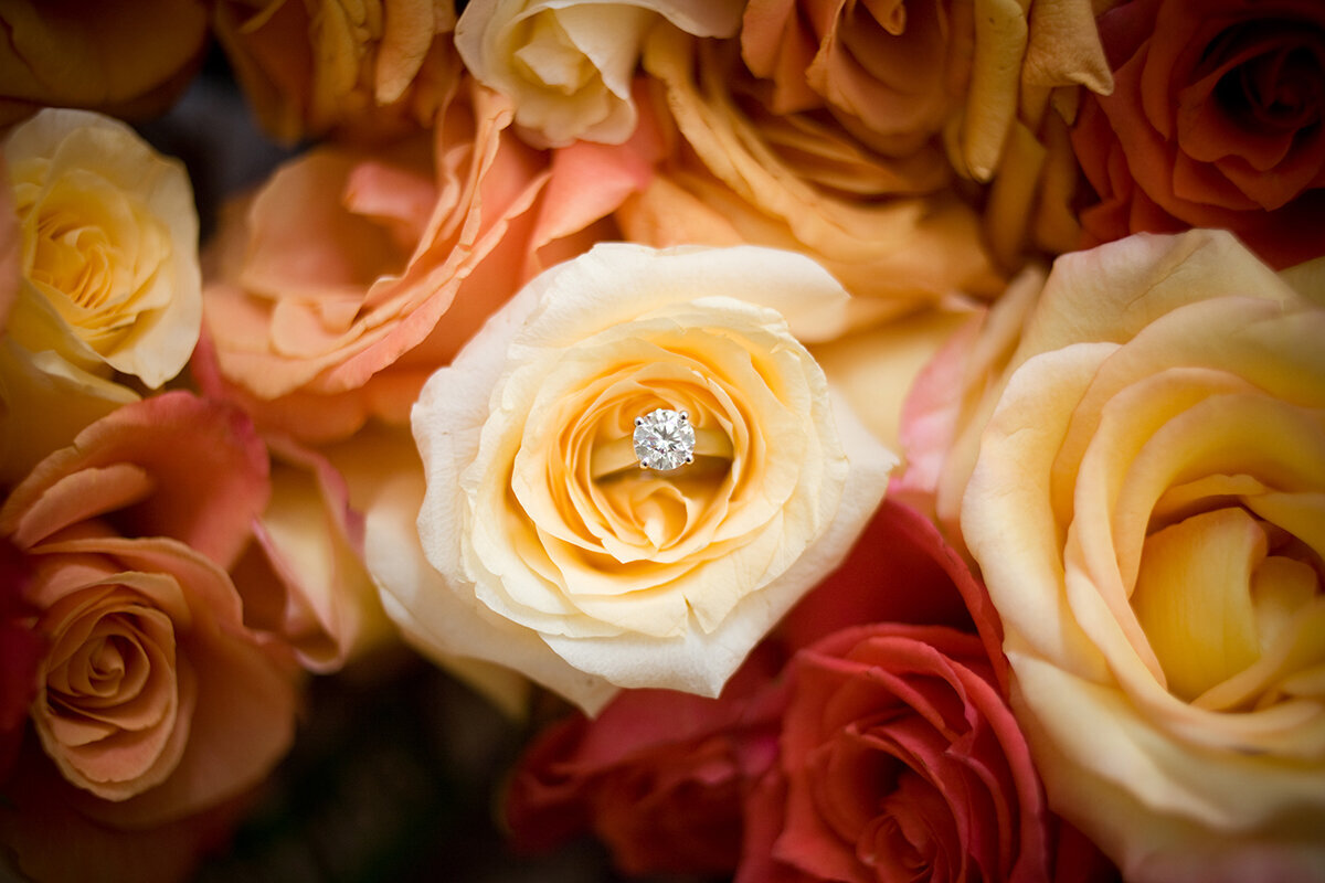Rachel Kim photography_detail_ring_01