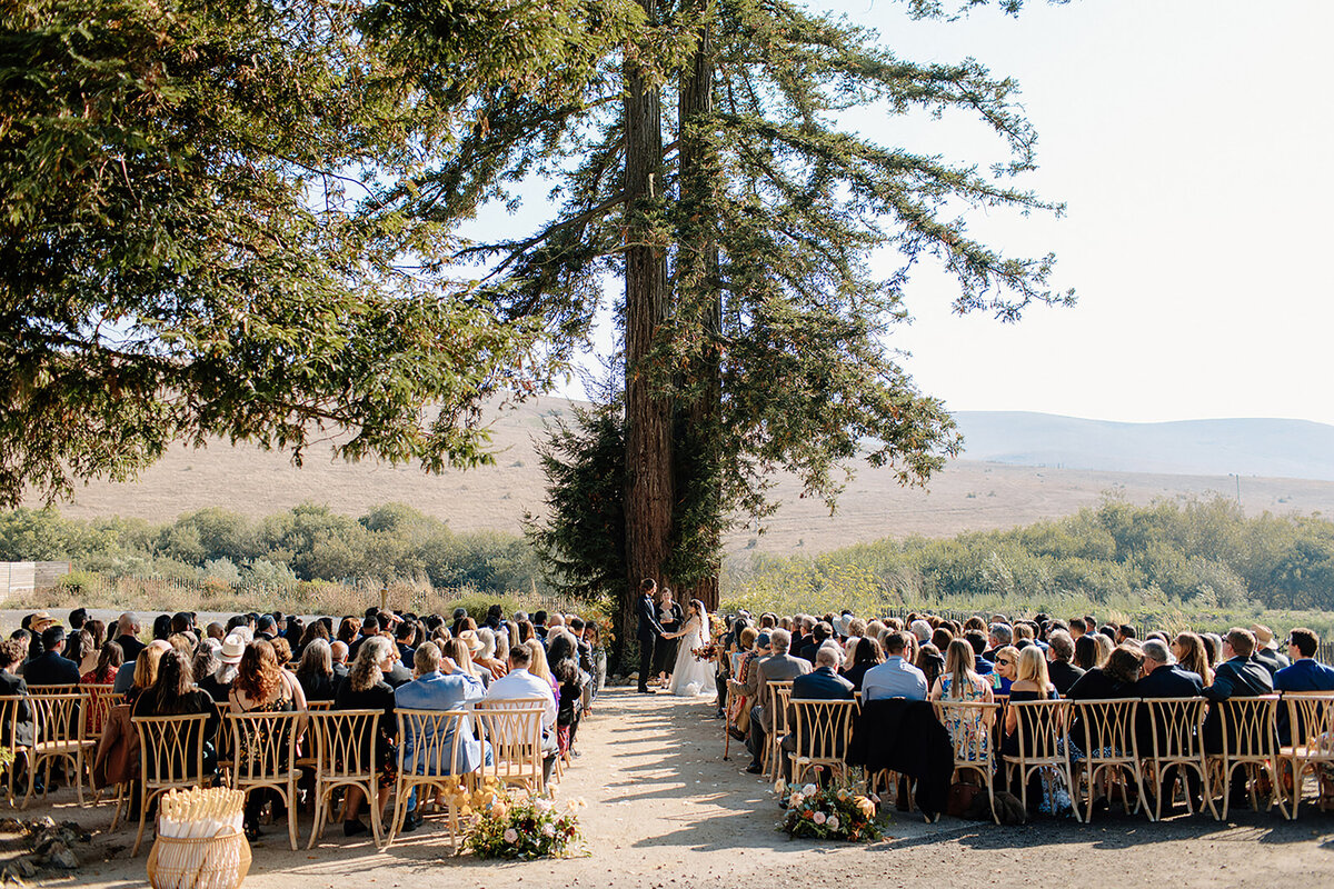 Framedd Aisle with 4 arrangeemnts