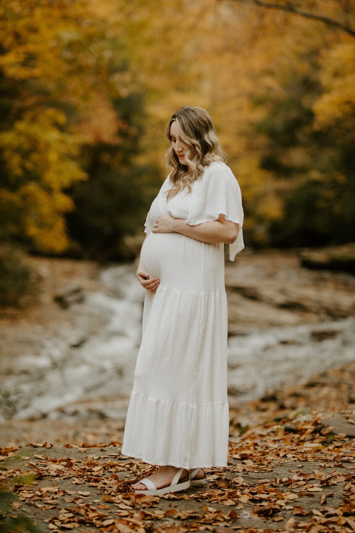 pittsburgh fall maternity session