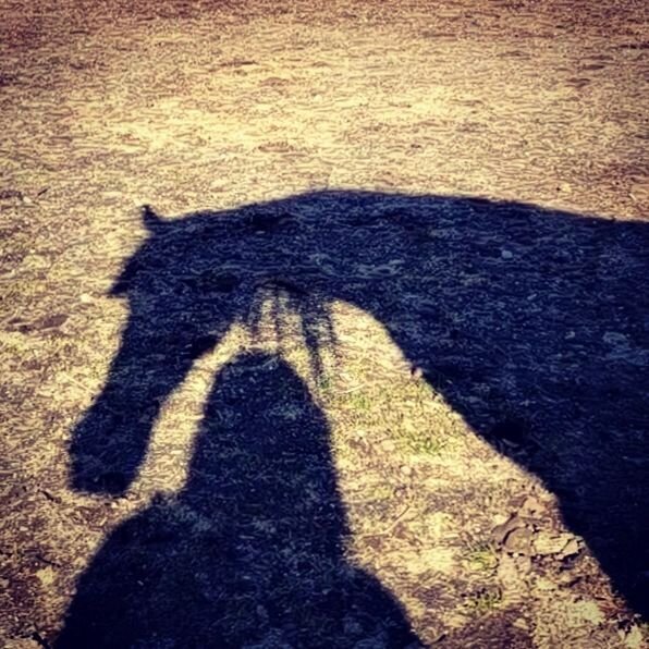 Kiva shadow