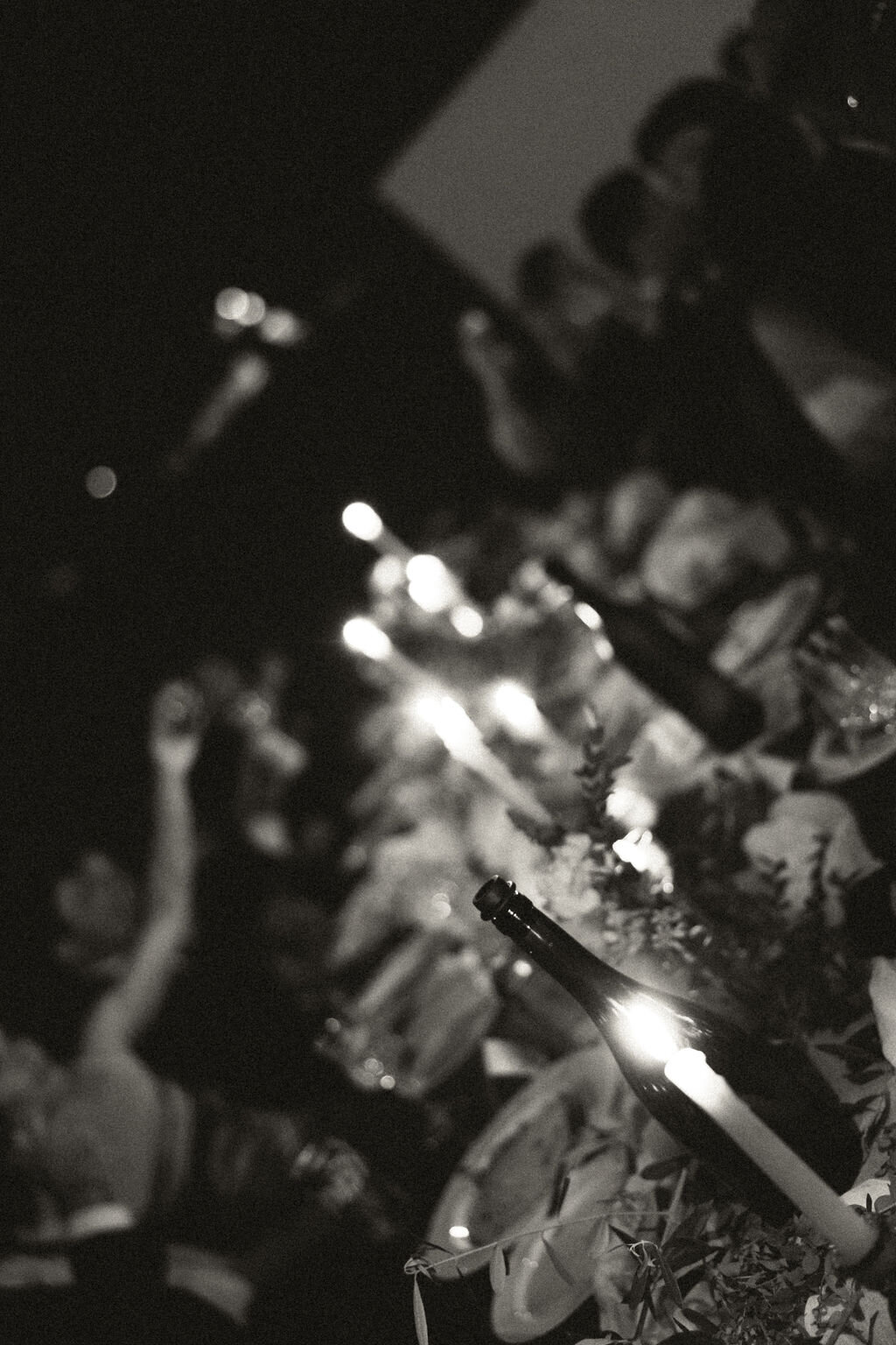 Emilieeleanorphotography-50225