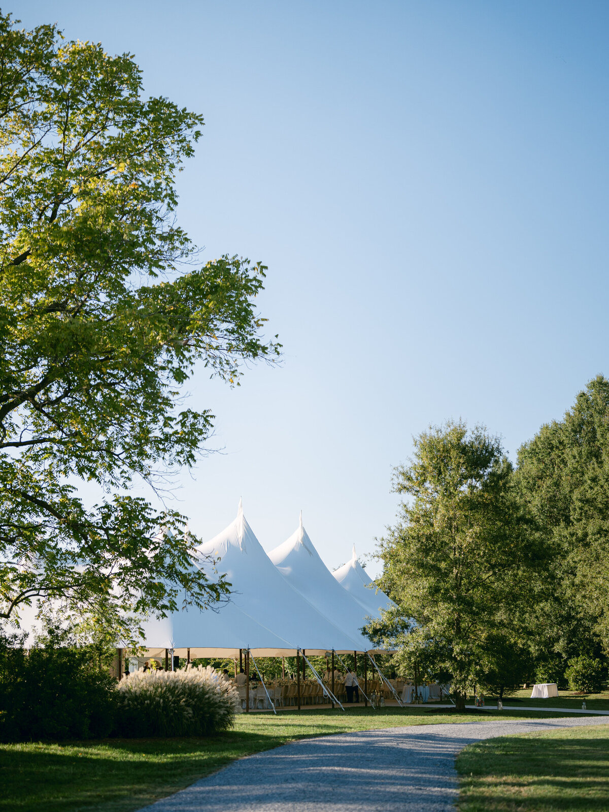 st michaels wedding carter rose-0045