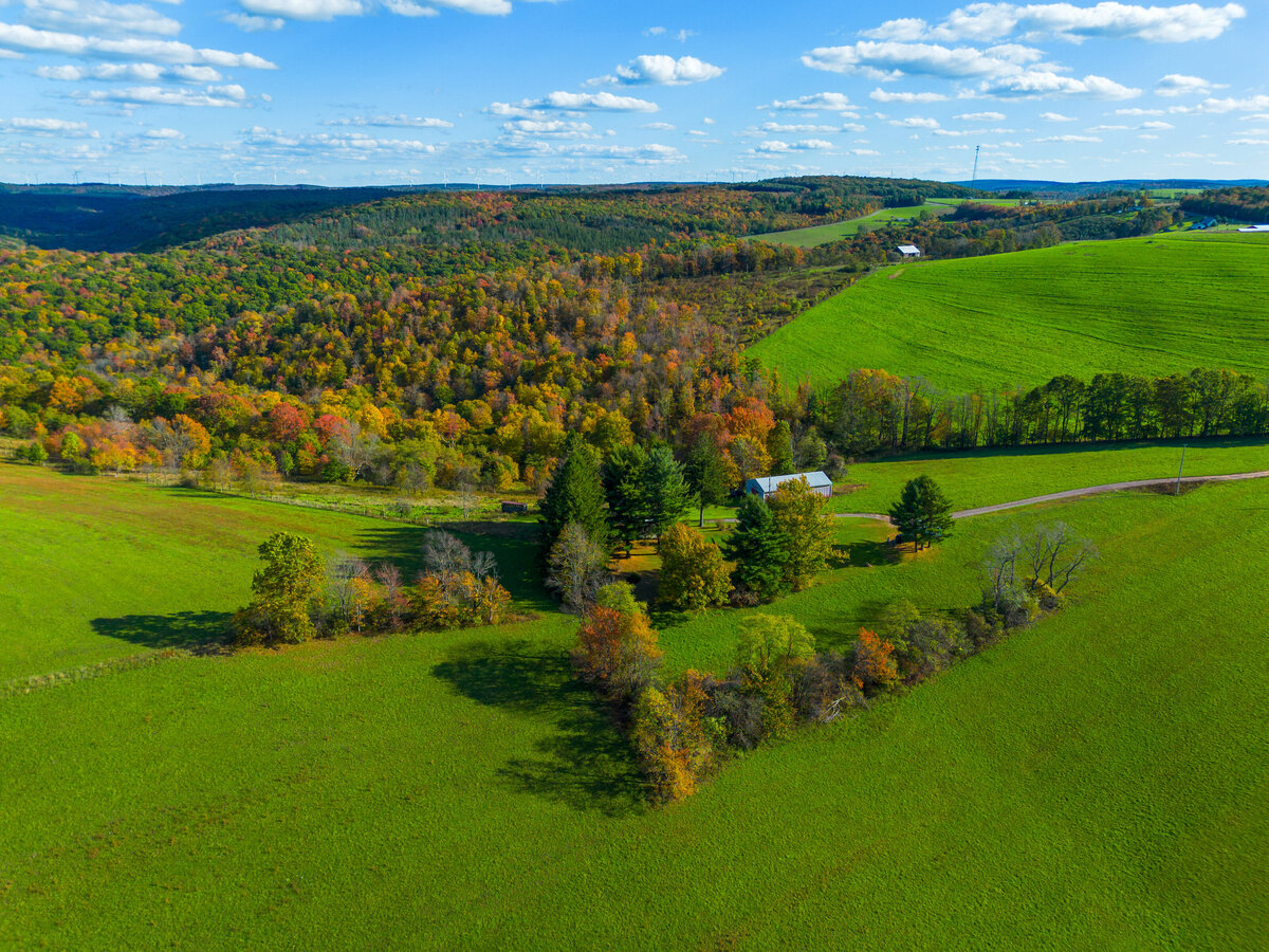 HABELLN (5 of 37)
