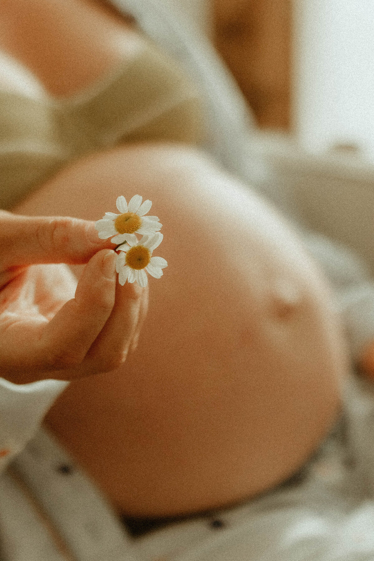 emmawandphotography_cronullaphotographer_furmamaphotographer_puppyphotographer_familyphotography_studiofamilyphotographysydney-61