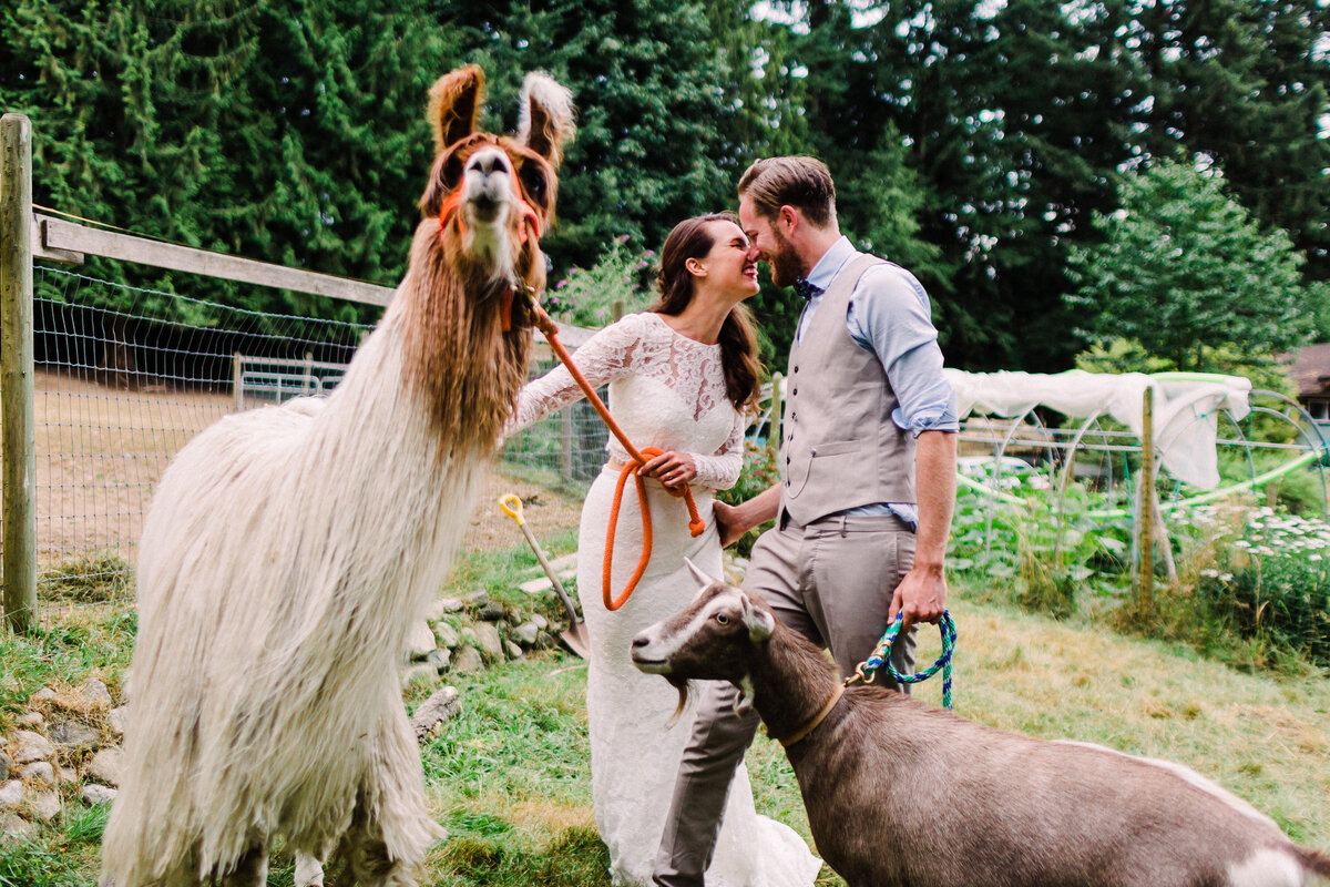 mkp_farm_wedding_langley_photographer-1