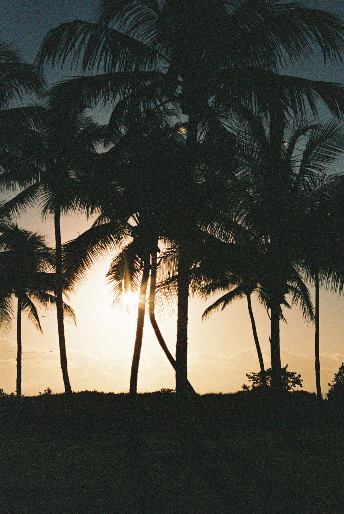 65_Film