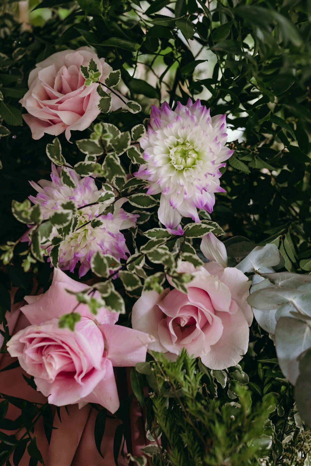 Crystal-Jack-Blue-Mountains-Elopement-447