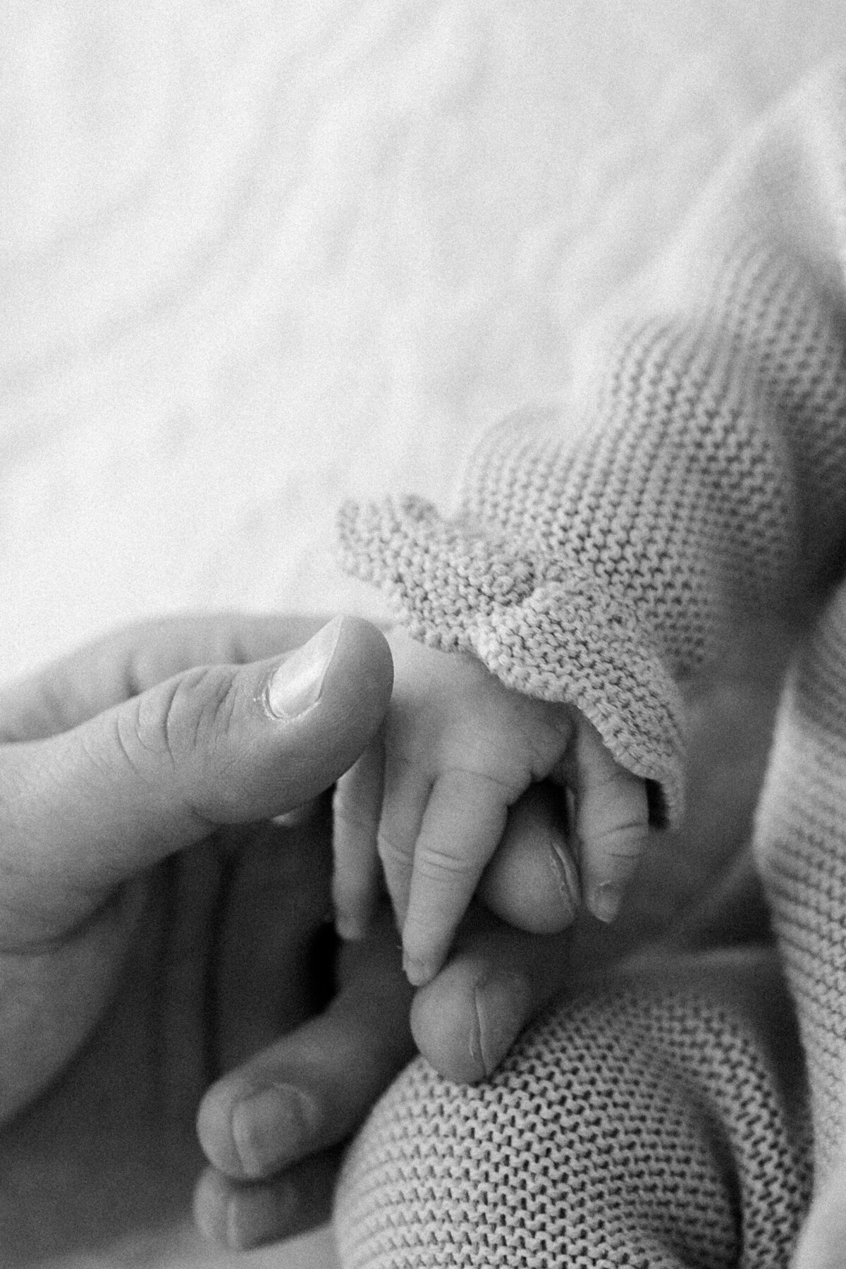 Terri-Lynn Warren Photography Halifax Newborn Baby Family Photographer-4028