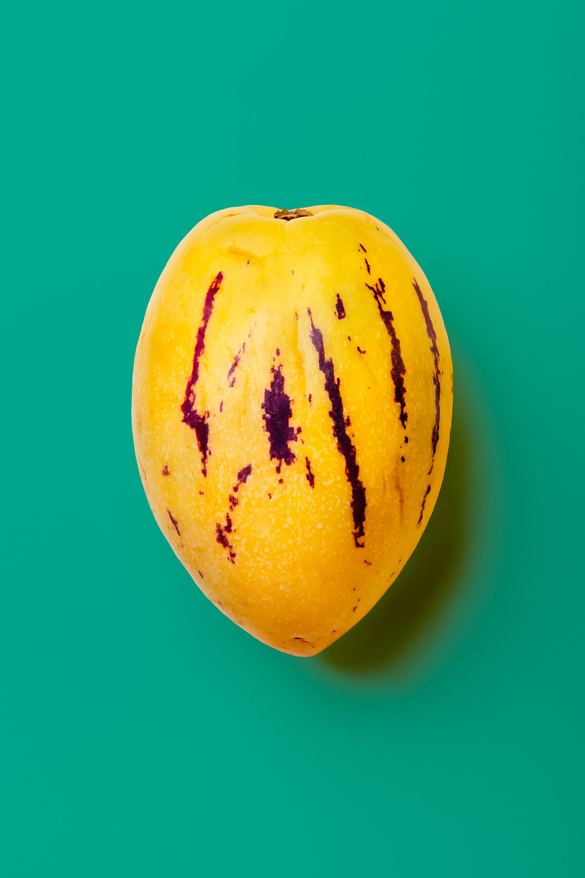 Pepino Melon Coloricious Food Photography