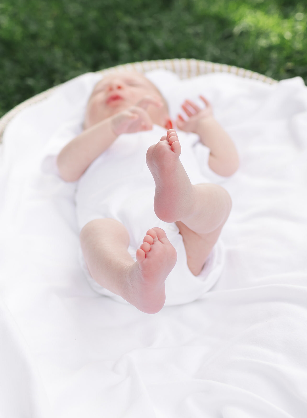 Baby Bentley_567_websize