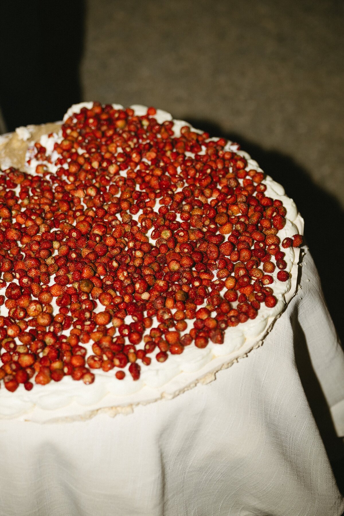 weddingphotographer55