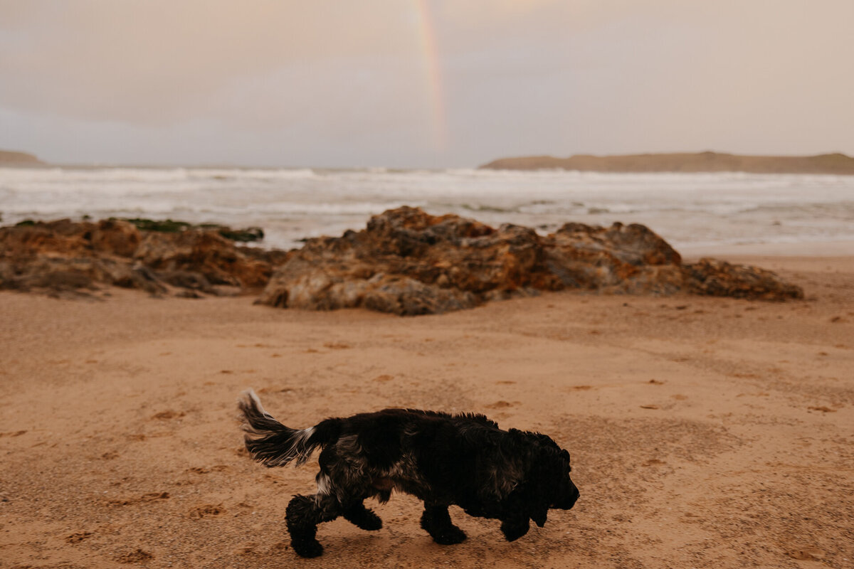 Deli&Joell-JBCreative-166