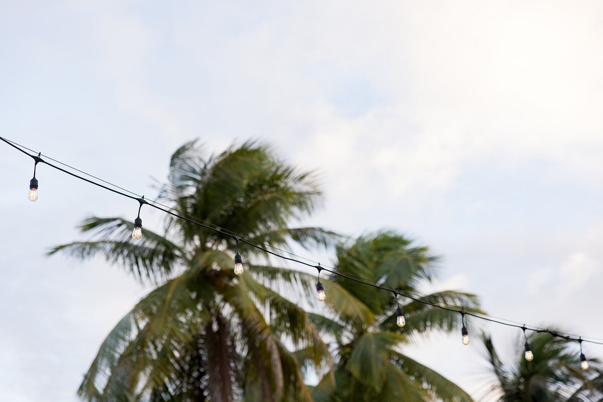Ed and Aileen Photography Chicago Illinois Digital Film Wedding Engagement Photographers Destination Puerto Rico4