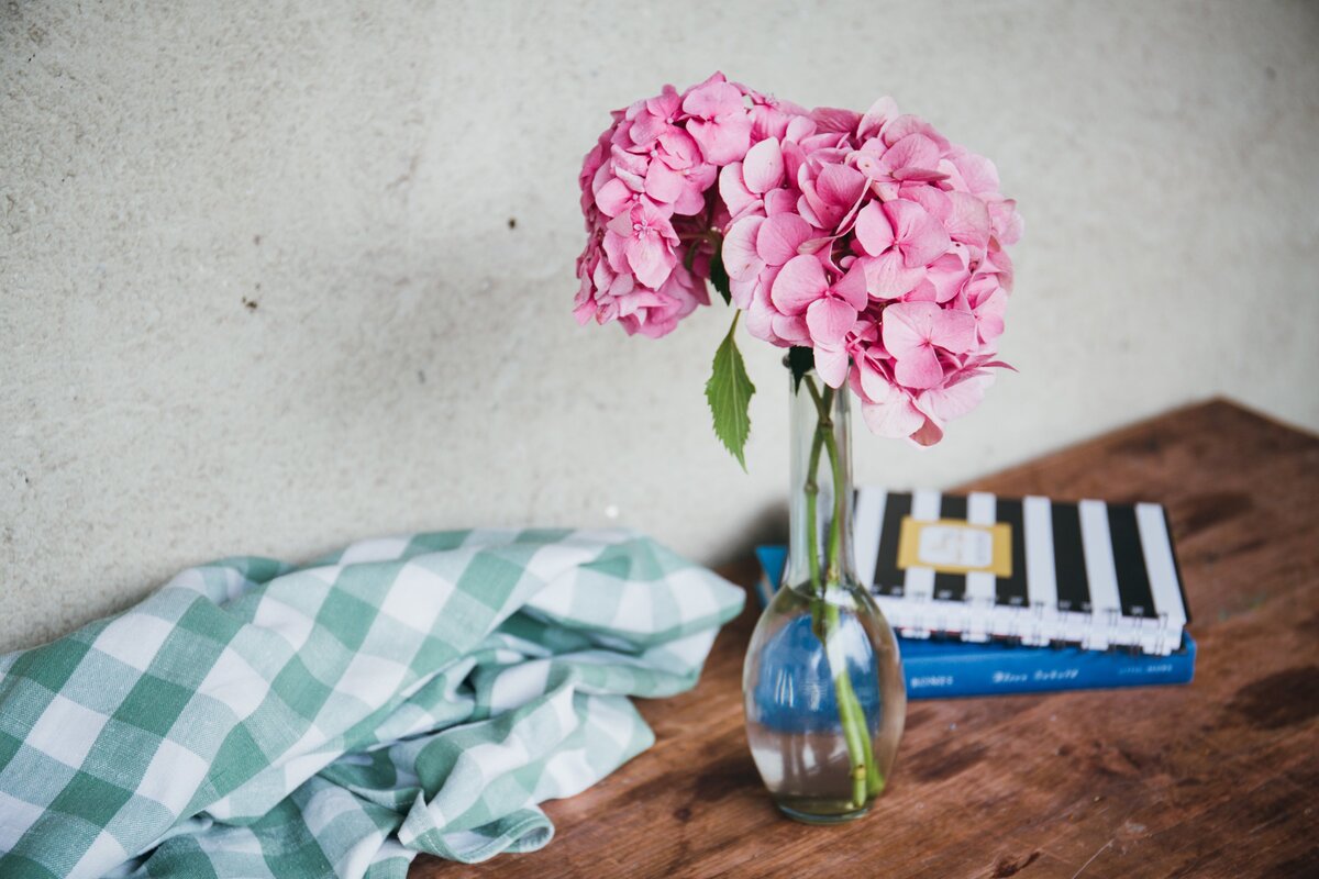 alisa-anton-pVfvdZZ2pnc-unsplash