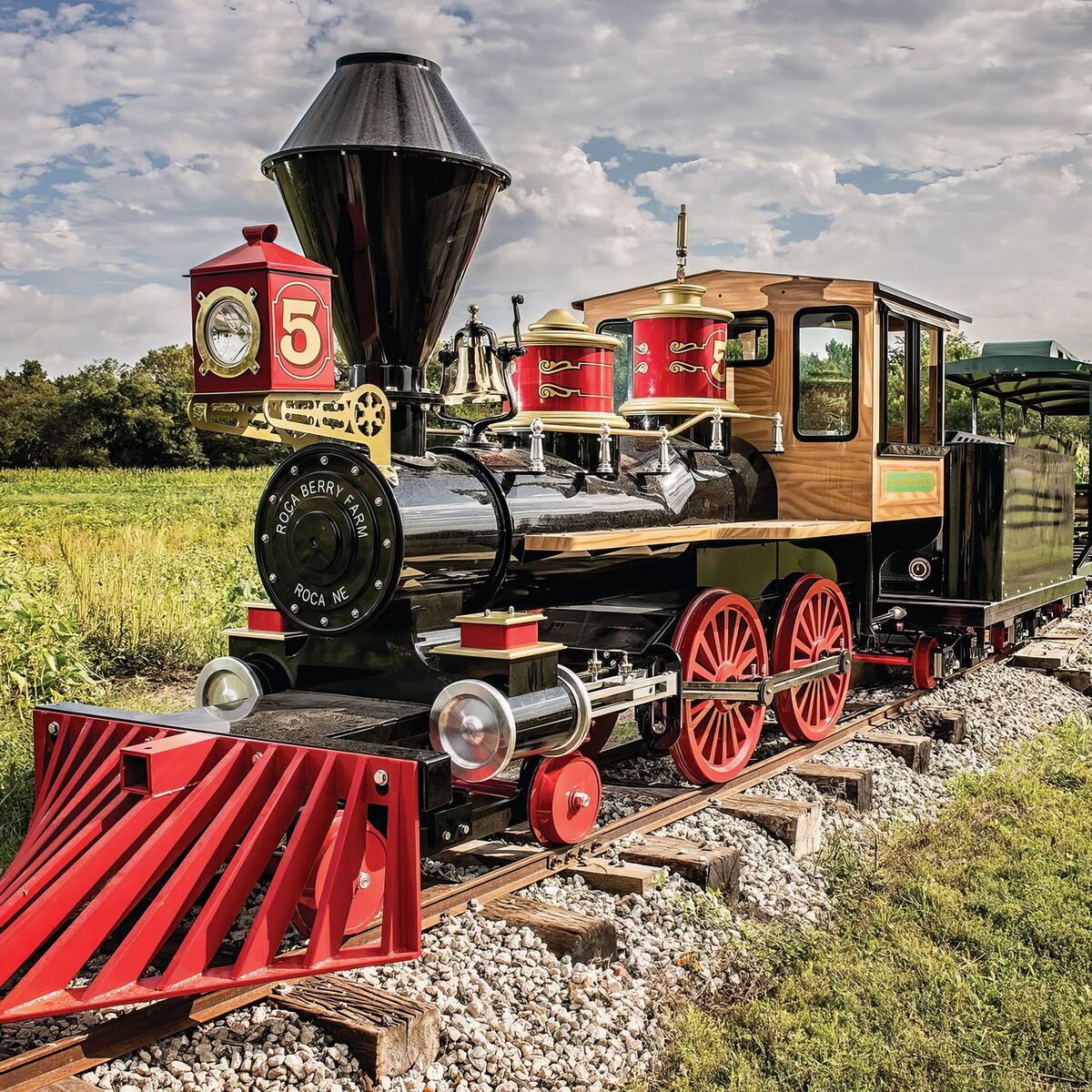 roca train