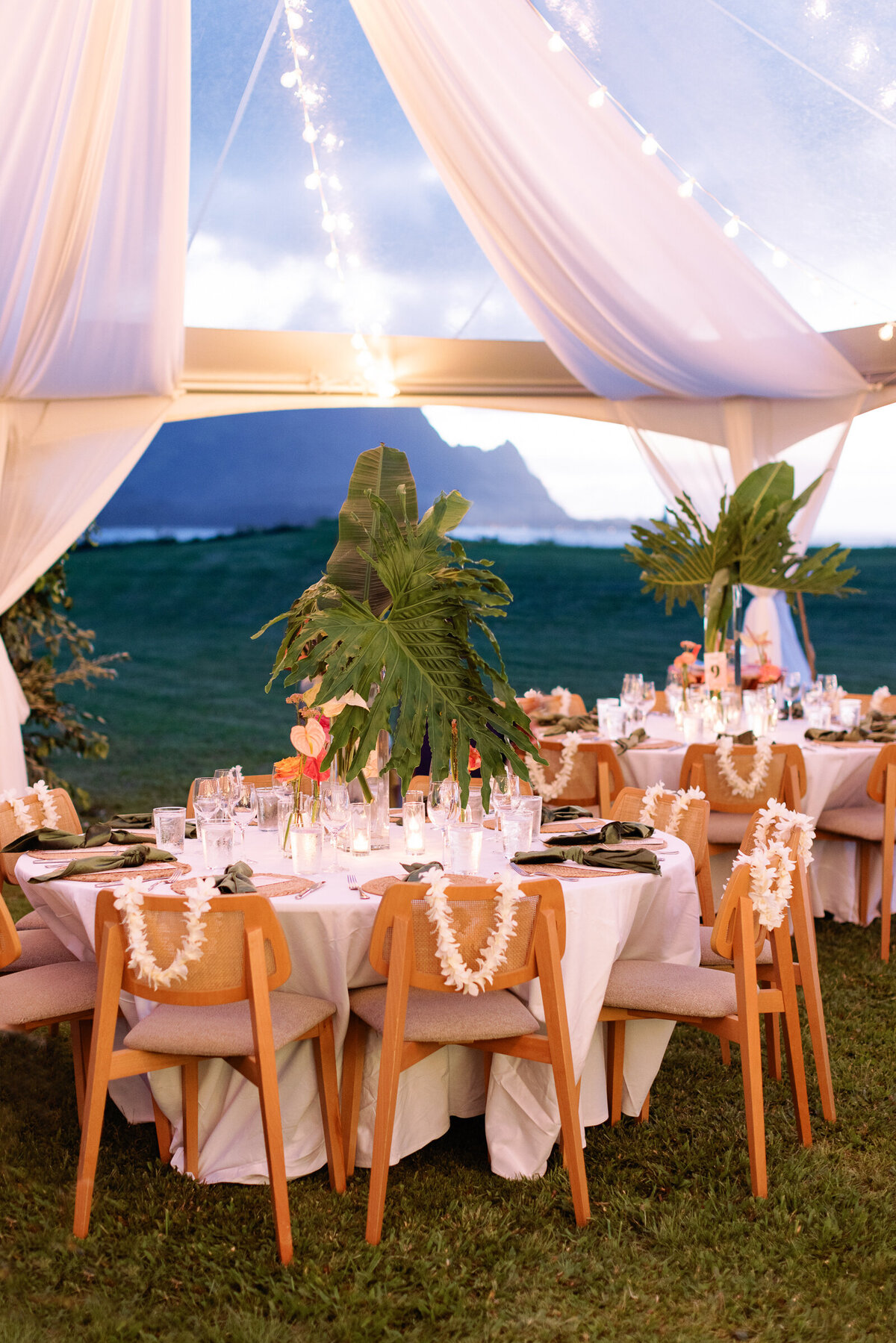 Best-Kauai-Photographer-59