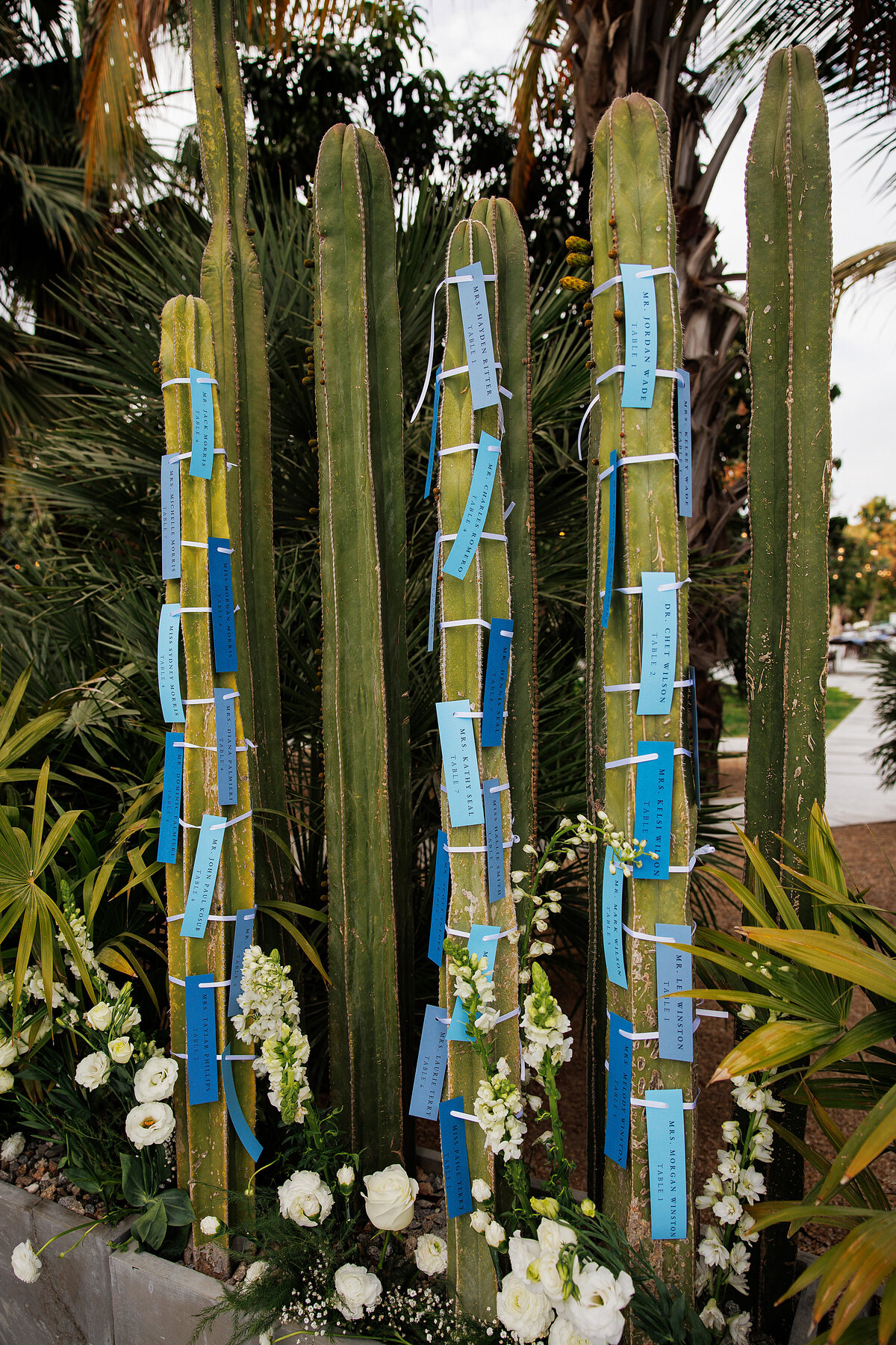 Destination wedding to Cabo
