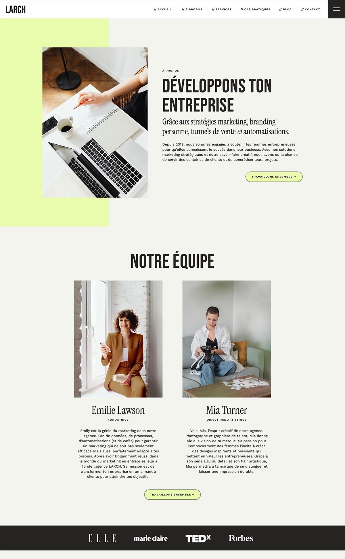 larch-aspen-creative-template-showit-4