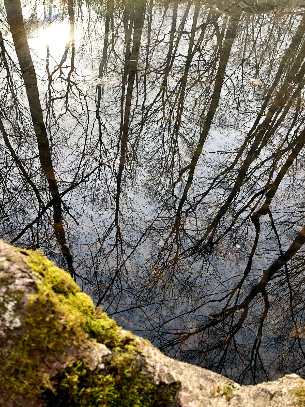 CCC_Estuary_62