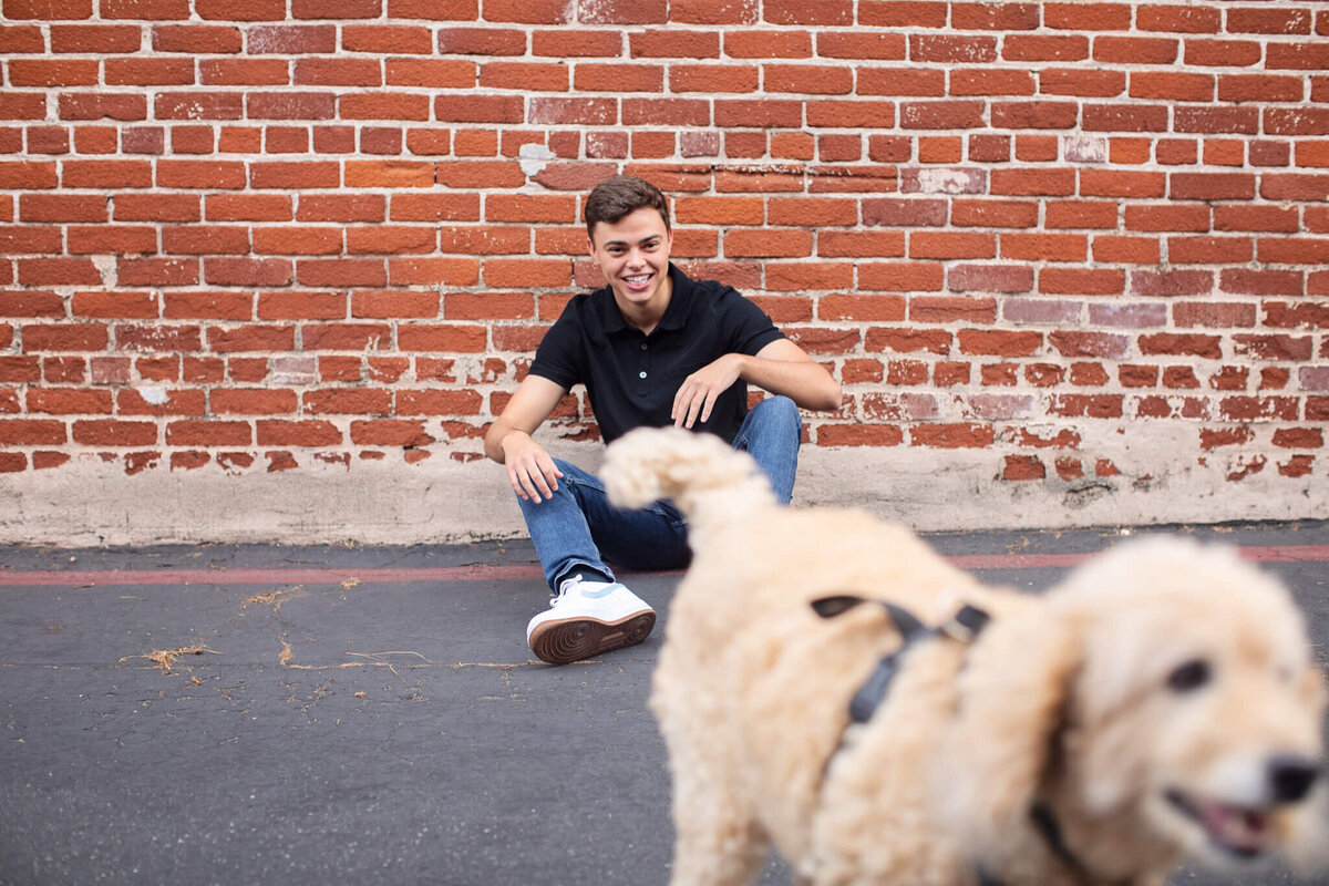 A person in a black shirt and jeans sits smiling against a red brick wall. In the foreground, a fluffy, golden dog wearing a harness walks by, slightly blurred.