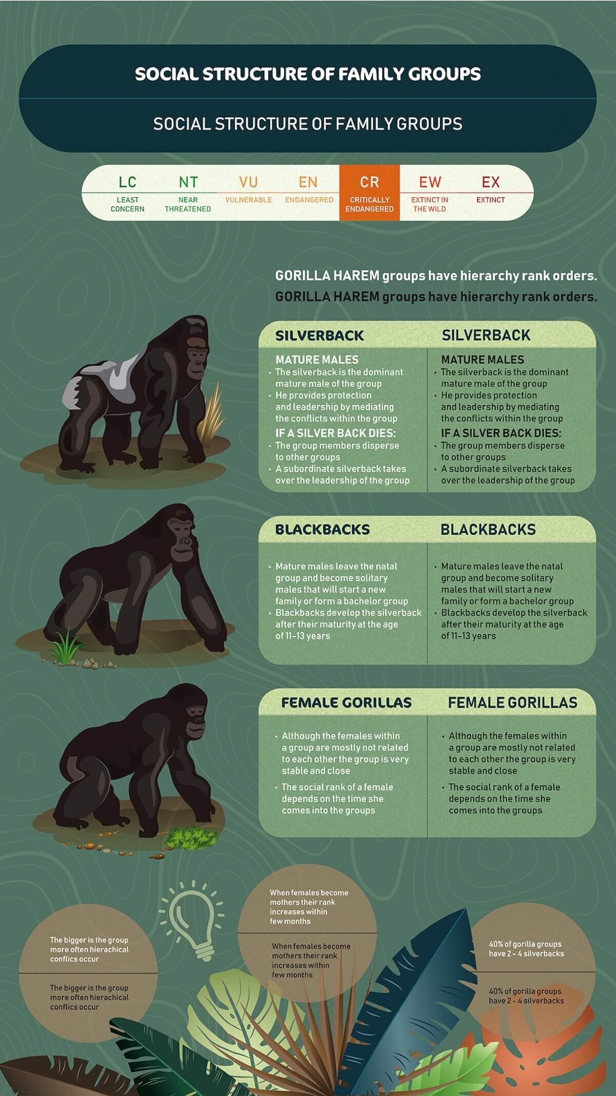 gorilla family-01