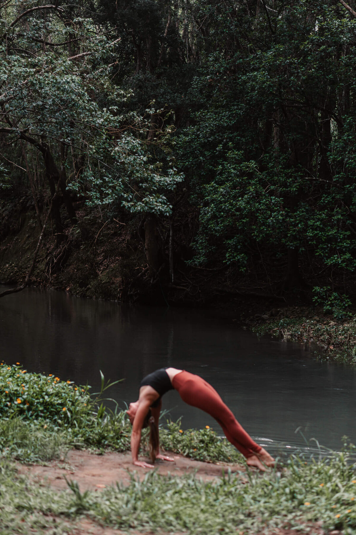 AROO-085-04504