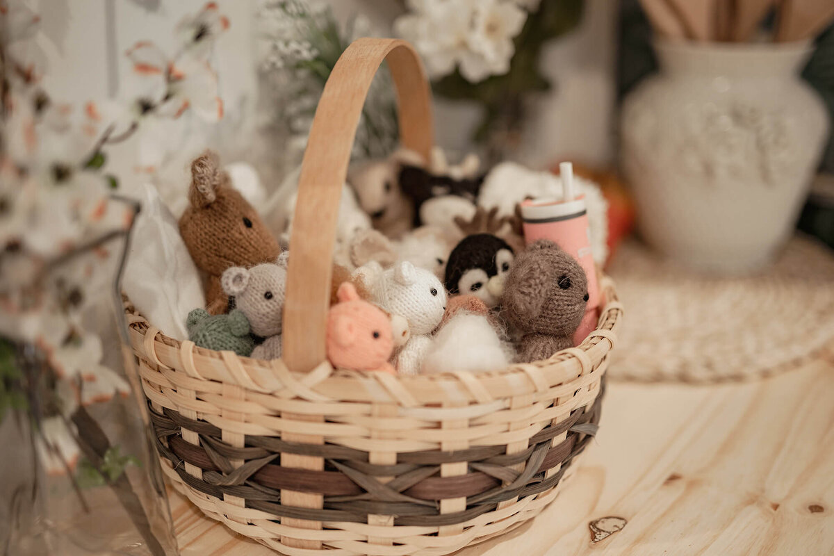Tiny stuffed animals used for newborn photo sessions.