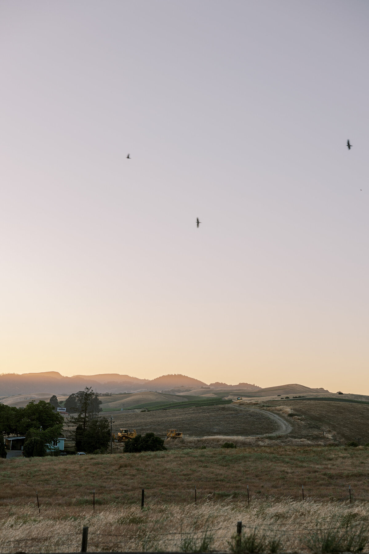 Carneros Resort Wedding Napa-179