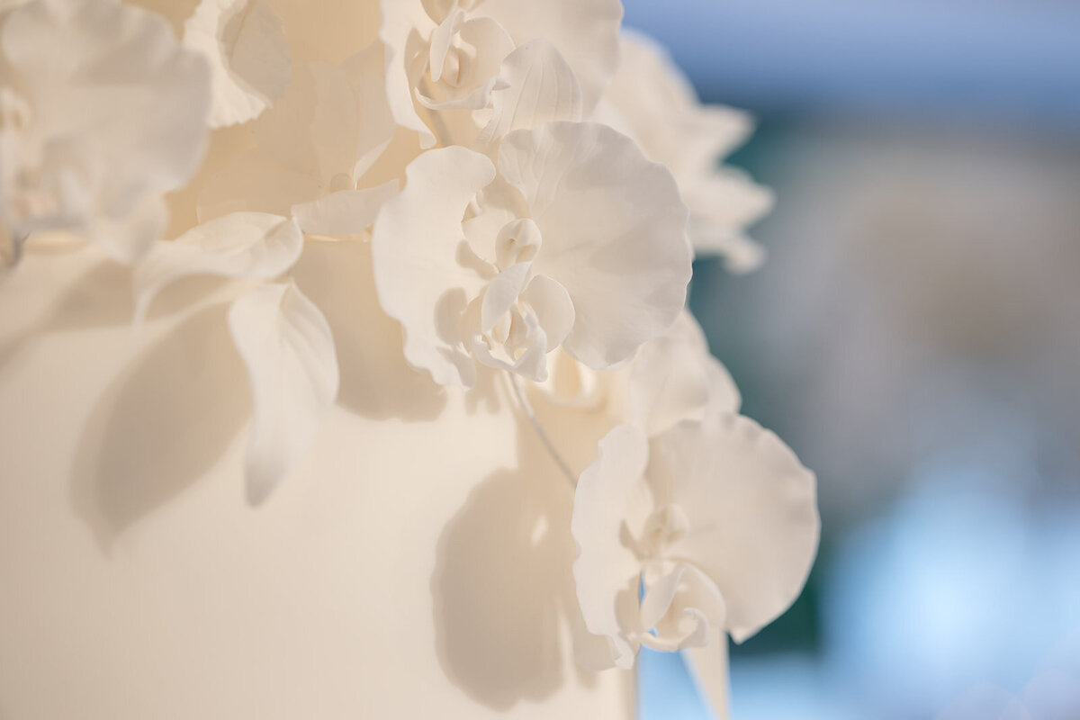 Close-up of delicate flowers from a centerpiece.